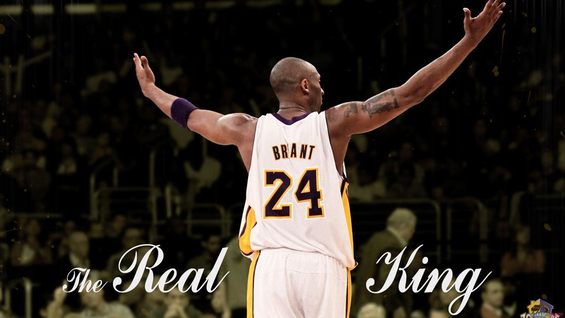 九游-“武汉马拉松：全球马拉松爱好者齐聚赛场”