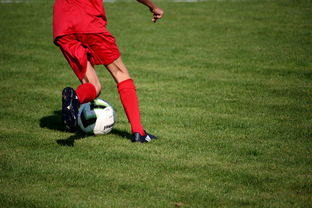 九游体育官方app-体育新闻中心发布体育短视频内容运营新策略，体育短视频存在的问题